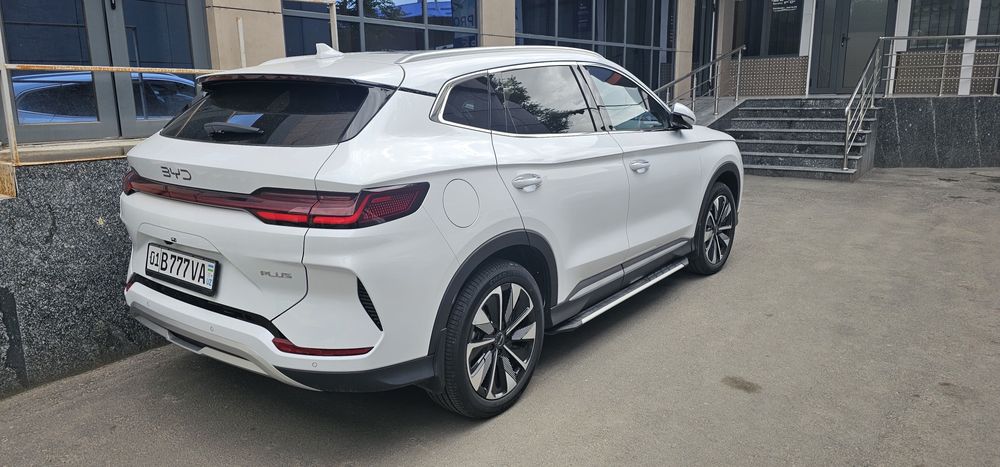 Byd champion 2025 restyle