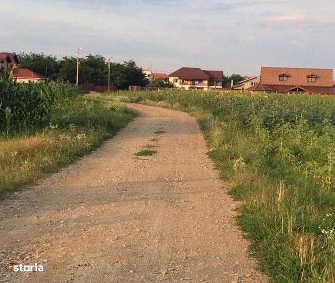 Teren de vanzare | Ciofliceni | Utilitati