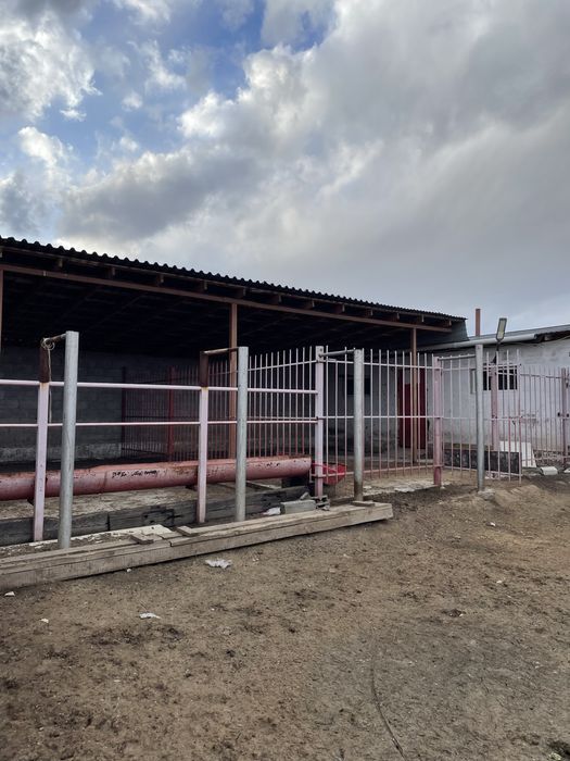 Продается хозяйство