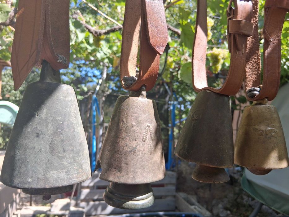 Звънци, Чан, Чанове