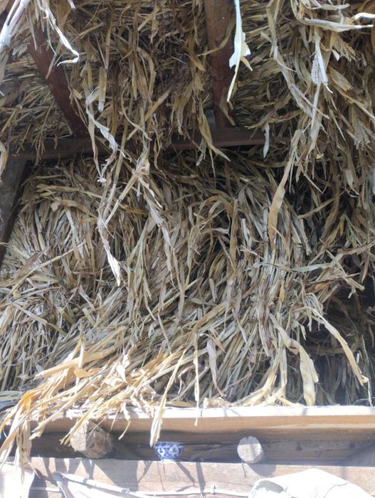 Seppa makka sotiladi