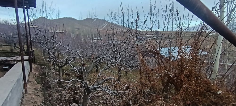 Yer sotiladi 12 sotix