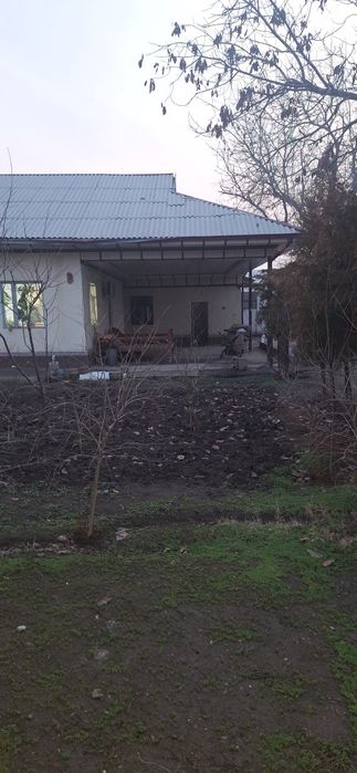 Bardanko'l roxat postidan 400 metr kirganda hovli sotiladi