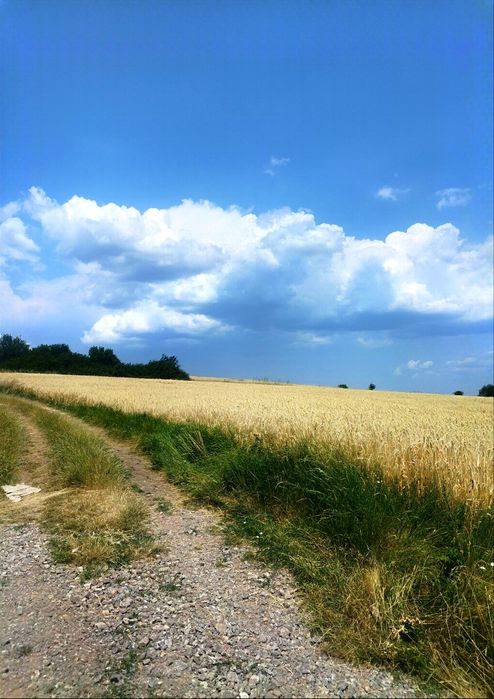 Продава се Парцел в с. Храбърско, Област София-област - 656 кв.м за 23 €/кв.м - Снимка #3