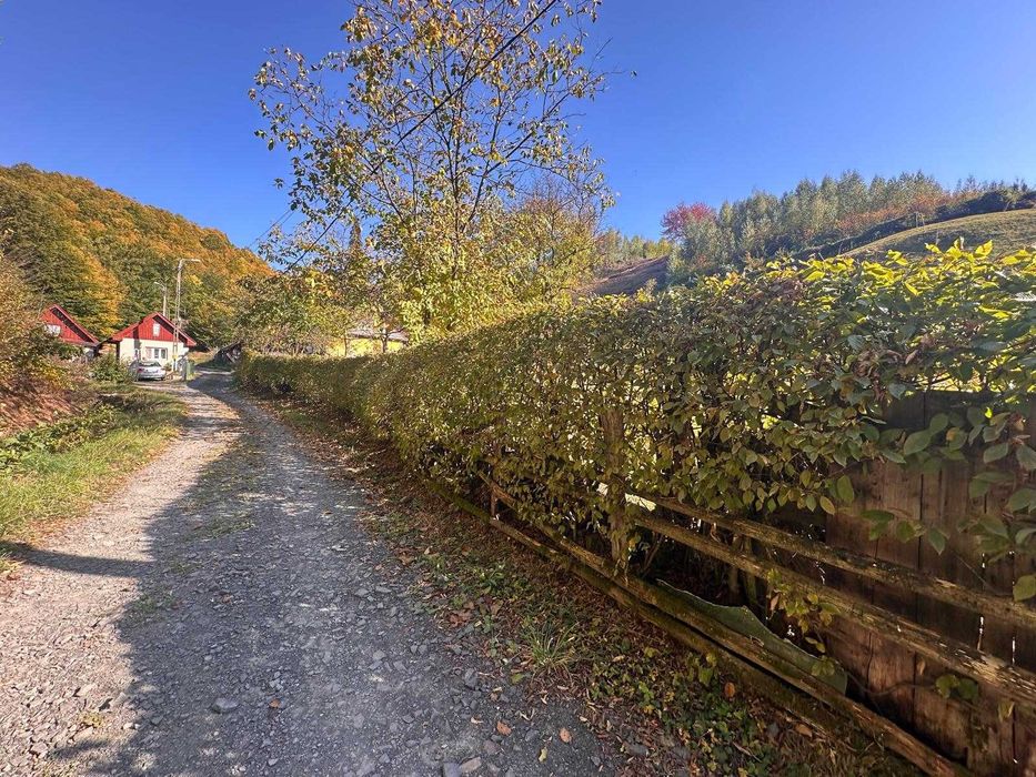 Teren intravilan in Firiza
