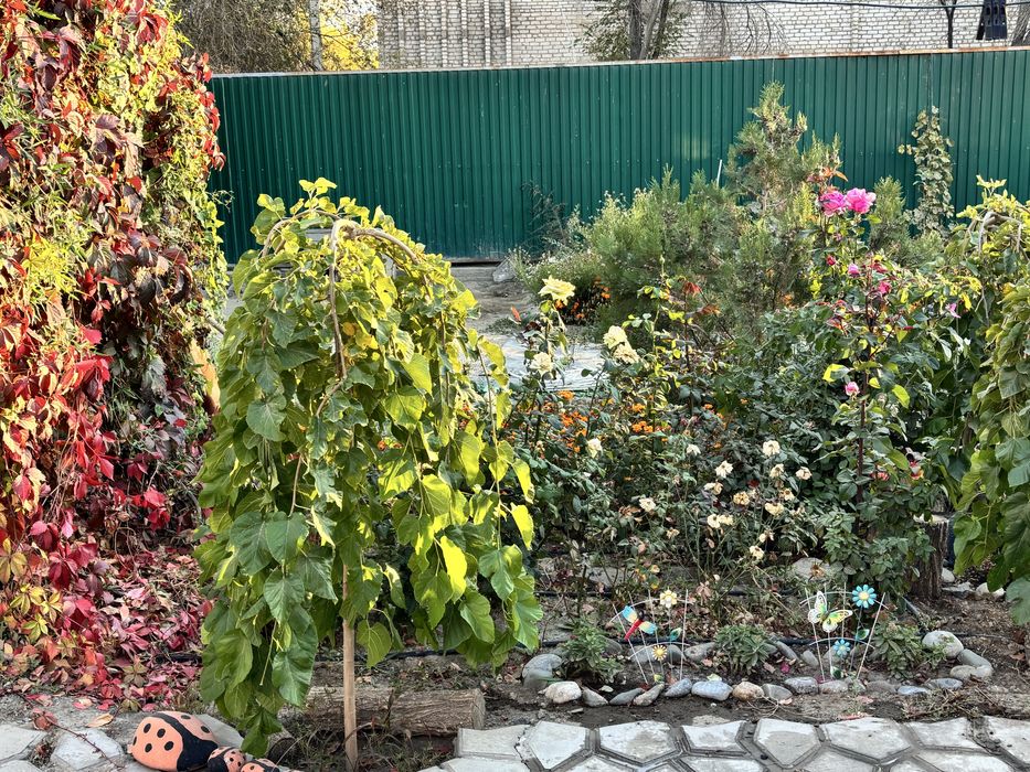 Д о м  час тны й