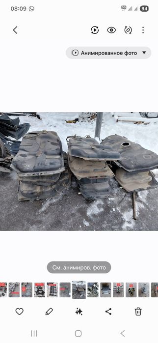 Ипсум ипсун ipsum picnic пикник