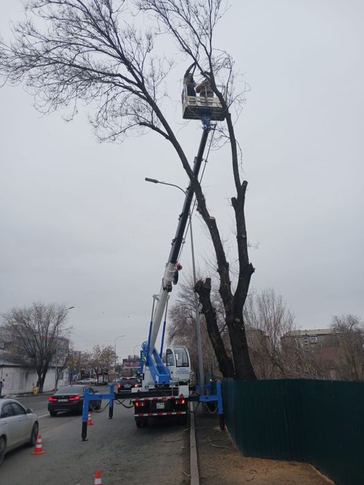 Услуги автовышки