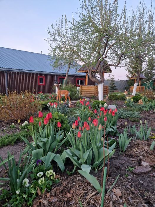 Продам дом коттедж.