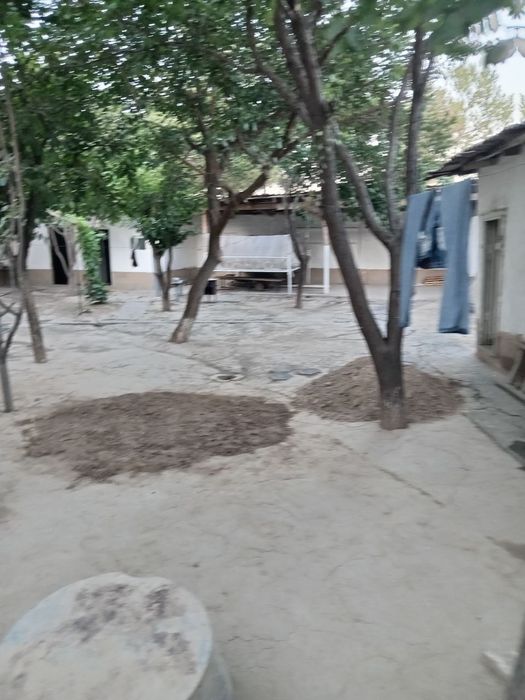 Olmazor tumani Chig'atoy masjid yonida 4.7 sotixli xovli sotiladi.