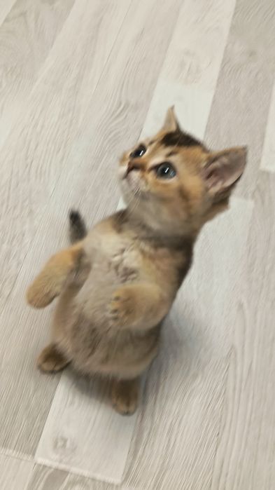 Шикарные здоровые малыши