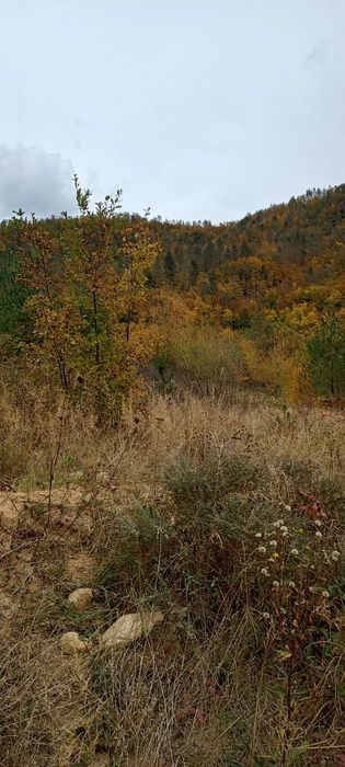 Продава се Земеделски имот в Смолян, в.з. Смолян -  кв.м за 1080 €/дка - Снимка #4