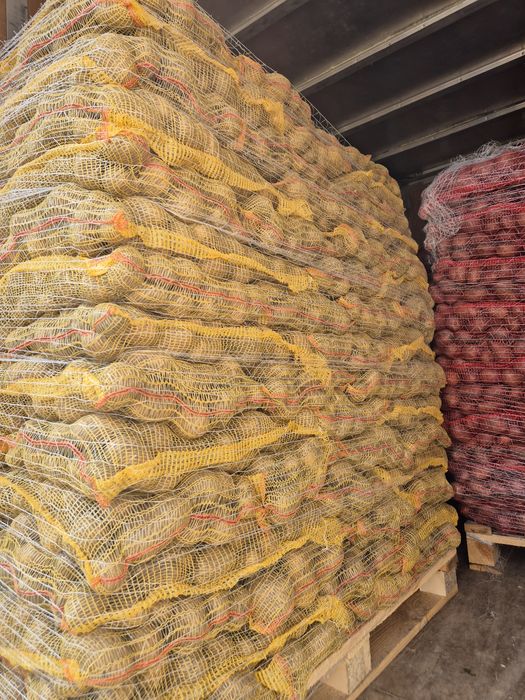 Vând cartofi alb și rosu