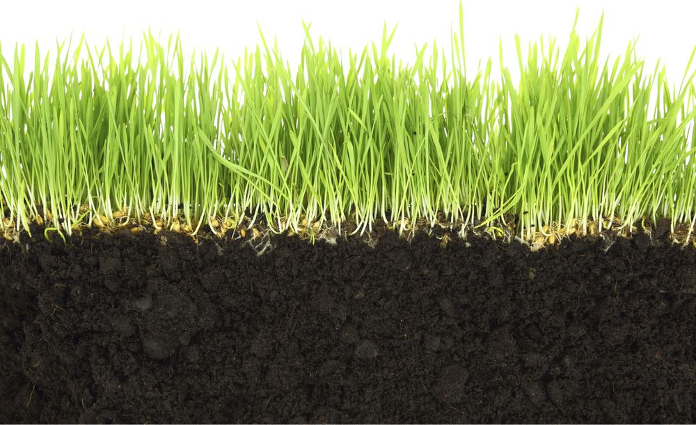 Биогомус Чернозем Уневерсал Оптом Цена и Продажа