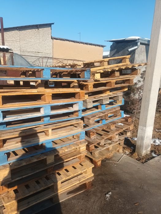 Paddon sotiladi yevro aralashiga 40.000 som