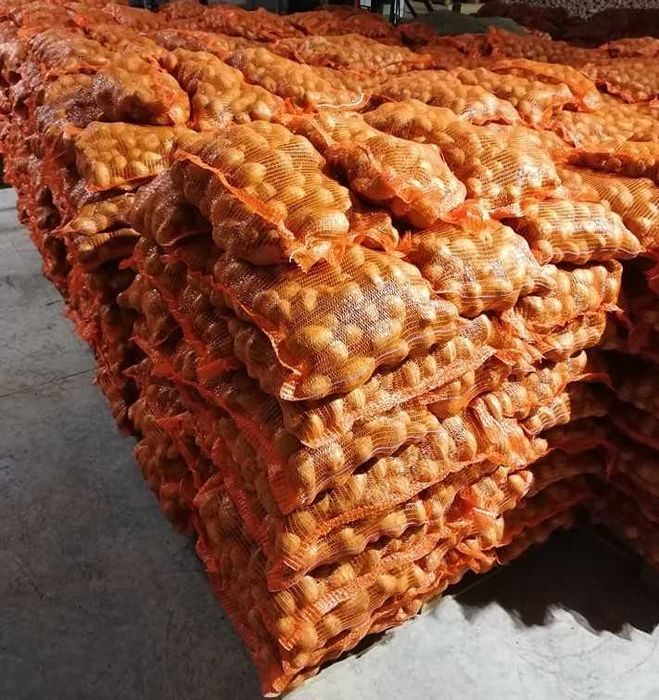 Cartofi de consum si Samanta certificata