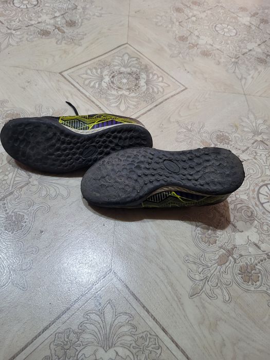 Сороконожки не дорого