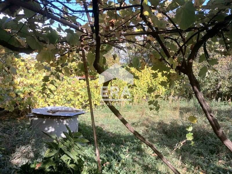 ЕКСКЛУЗИВНО! Етаж от къща в с. Берсин, Кюстендилска област