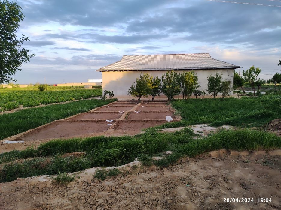 Uy joy sotiladi, 50 sotix