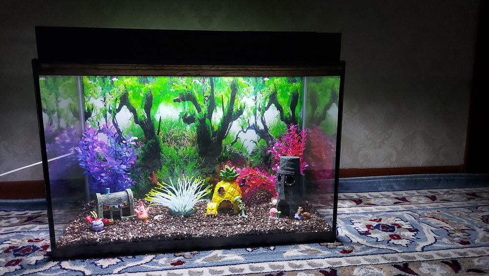 Готовые аквариумы под ключ