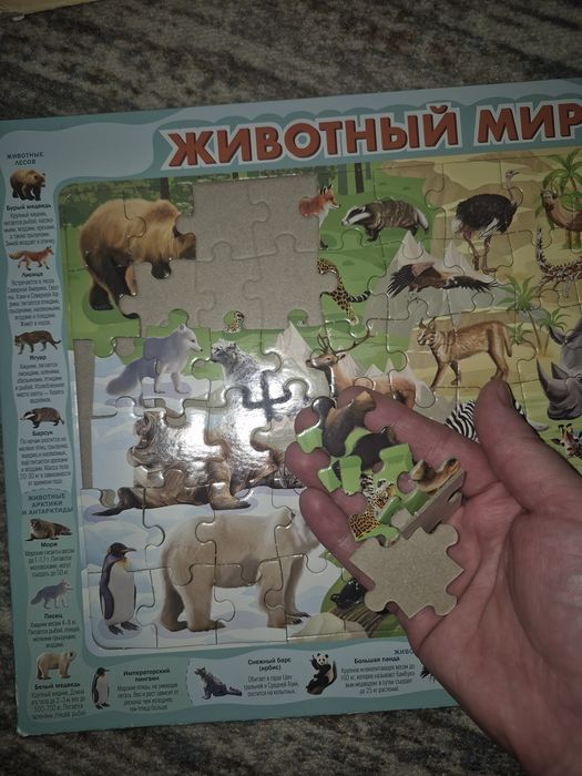 Пазлы в рамке плотные, крупные-60 деталей. За 4 набора 1000 тенге.