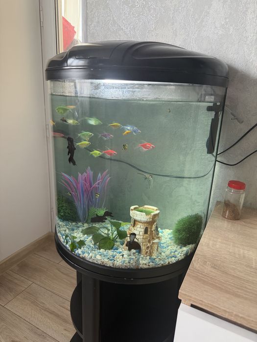Продам аквариум на 50л с подставкой