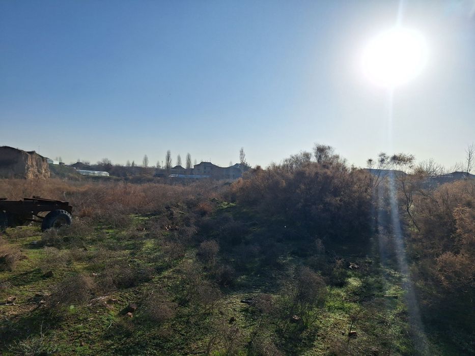 Chinoz tumani 2.90 gektar yer