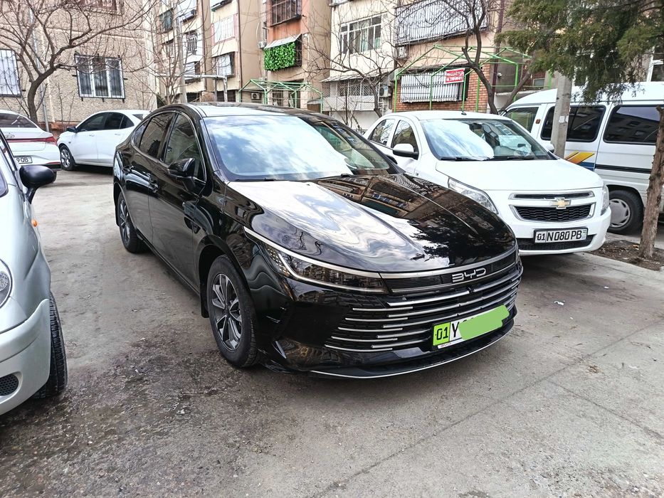 BYD Chazor 2-pozitsiya (Luxe)