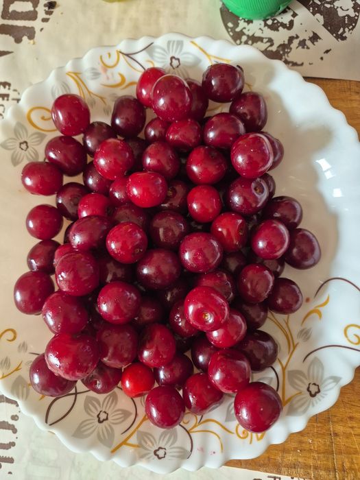Vand visine proaspat culese!