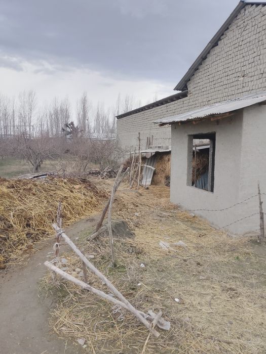 Буш ер участка сотилади