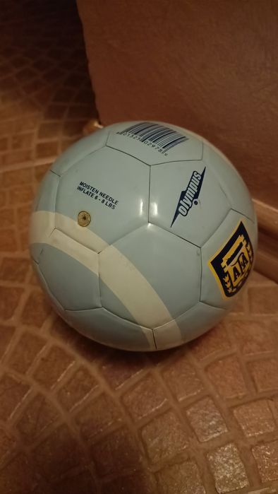 Minge miniatura Argentina, arata foarte bine, campioana mondiala 2022
