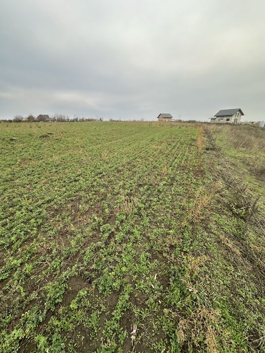 Teren vânzare intravilan REDIU-Horlești la Șoseaua strategică DJ 248 B