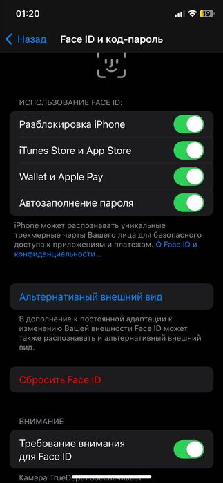 IPhone X 256 100