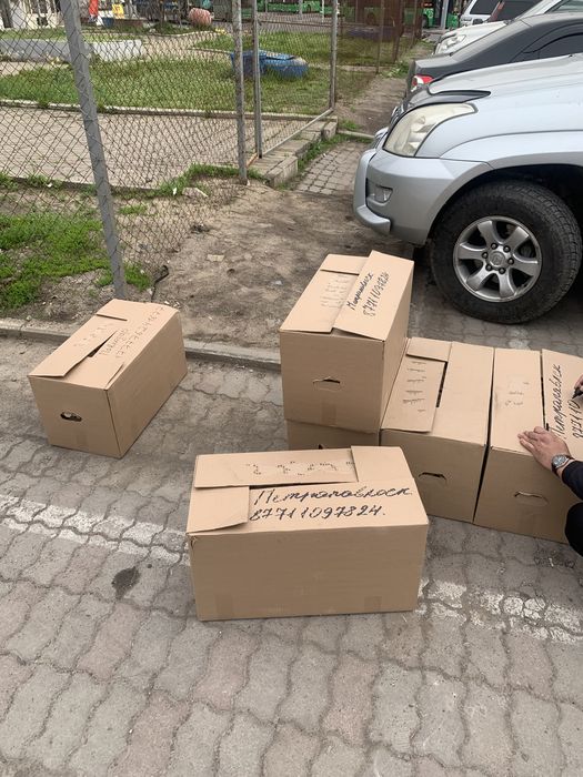 Инкубационные яйца бройлер росс-308