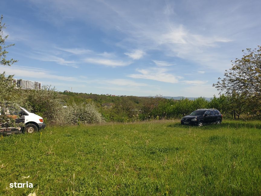 Teren intravilan IASI - COPOU - VITICULTORI - in vecinatatea padurii