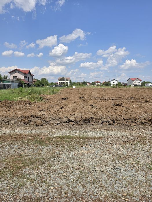 Teren de vanzare Dragomiresti Deal 800 mp