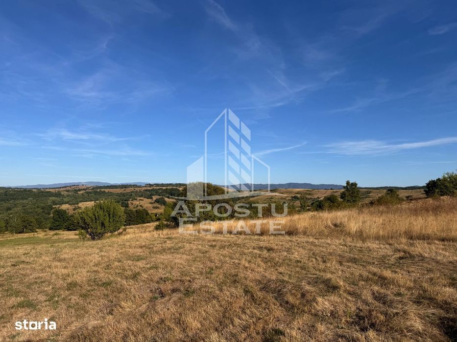 Teren de 50.000mp, priveliste panoramica spre munte si lac, Hunedoara