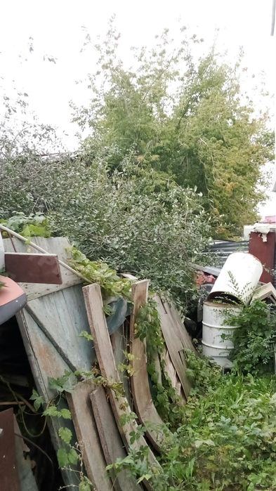 Бесплатно отдам дрова