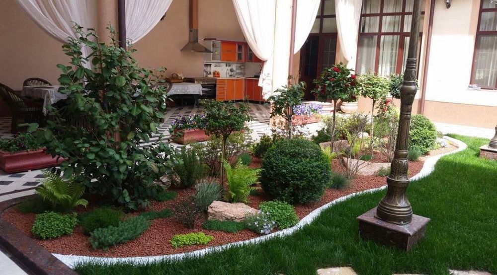 Газон екиш хизмати таййор ва уруґдан