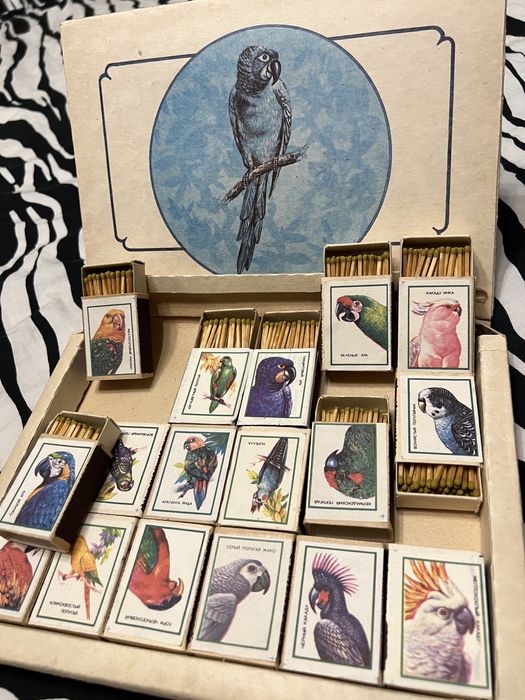 Спички попугаи