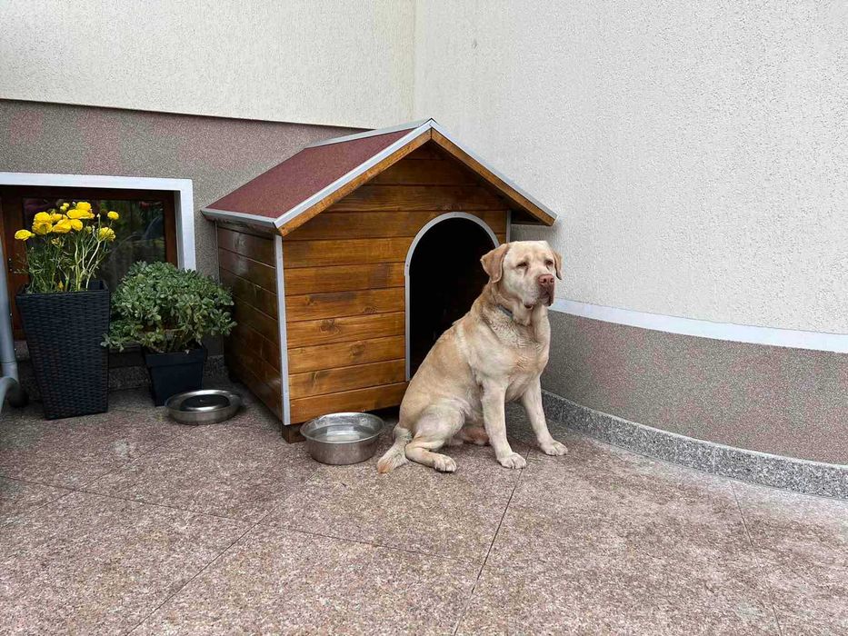 Кучешка къща,кучешка колиба