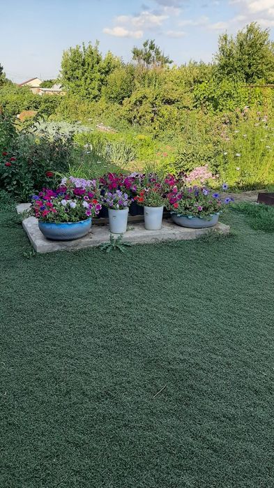 Продам дом с/о Хуторок