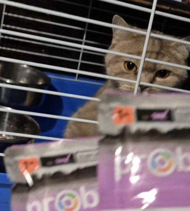 По дороге к счастью - девочка Груня