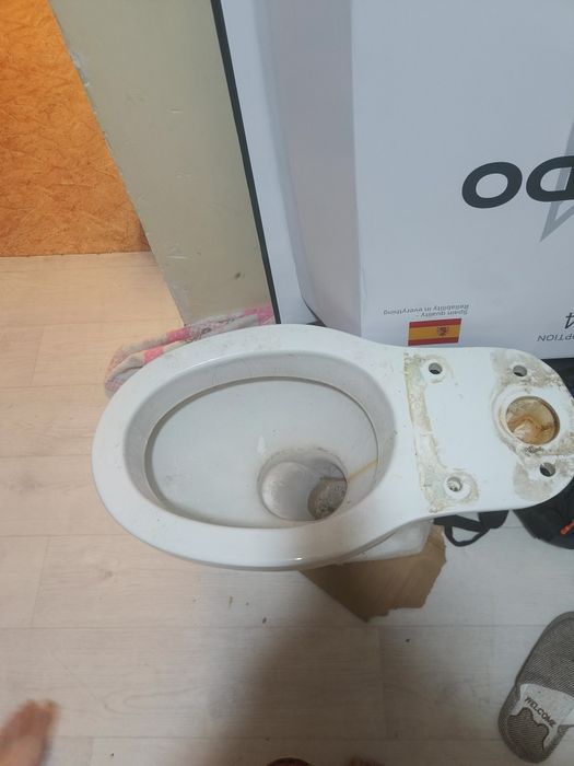 Отдам бесплатно.