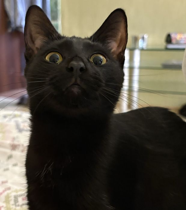 Девочка 6 месяев