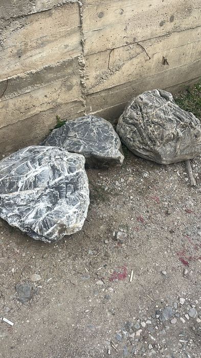 Bolovani ornamentali ideală pentru decor,  iazuri, zidari, garduri, fântâni etc