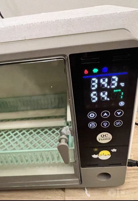 70 talik avtomat Inkubator