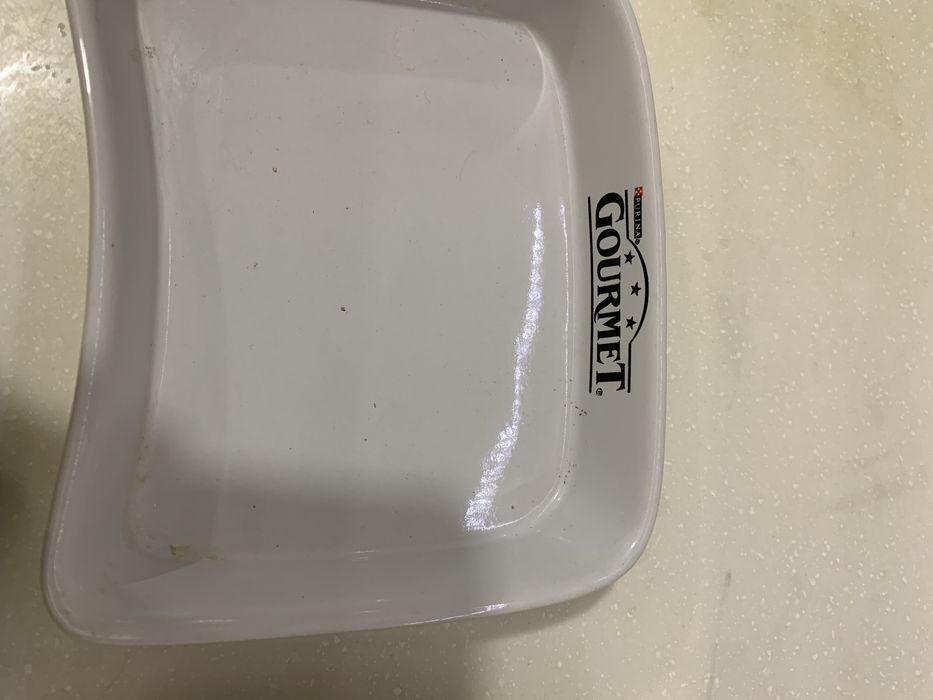 Миски для кошки или мелкой собаки