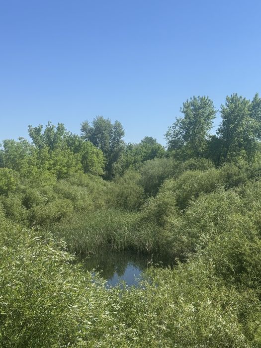 Продам крестьянское хозяйство в городе