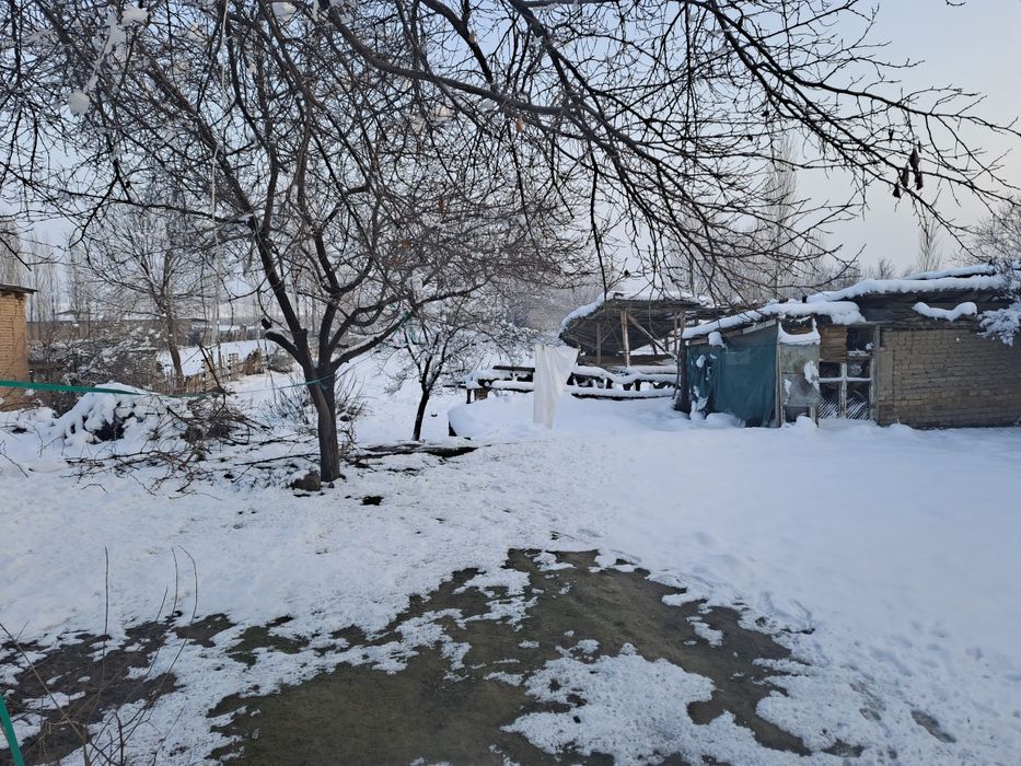 30 сотихли Хонадон Бука тумани